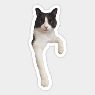 cute cat sitting relaxed Sticker